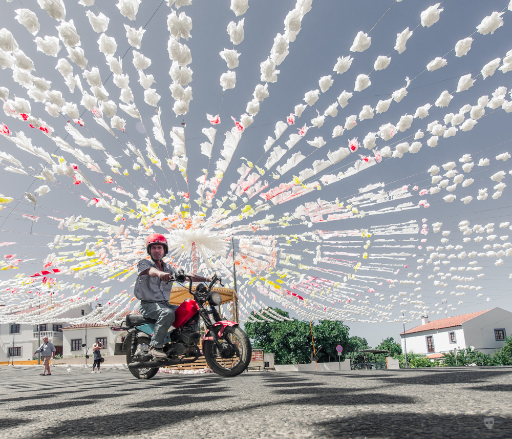 festival dos mastros sao teotonio - mota.jpg